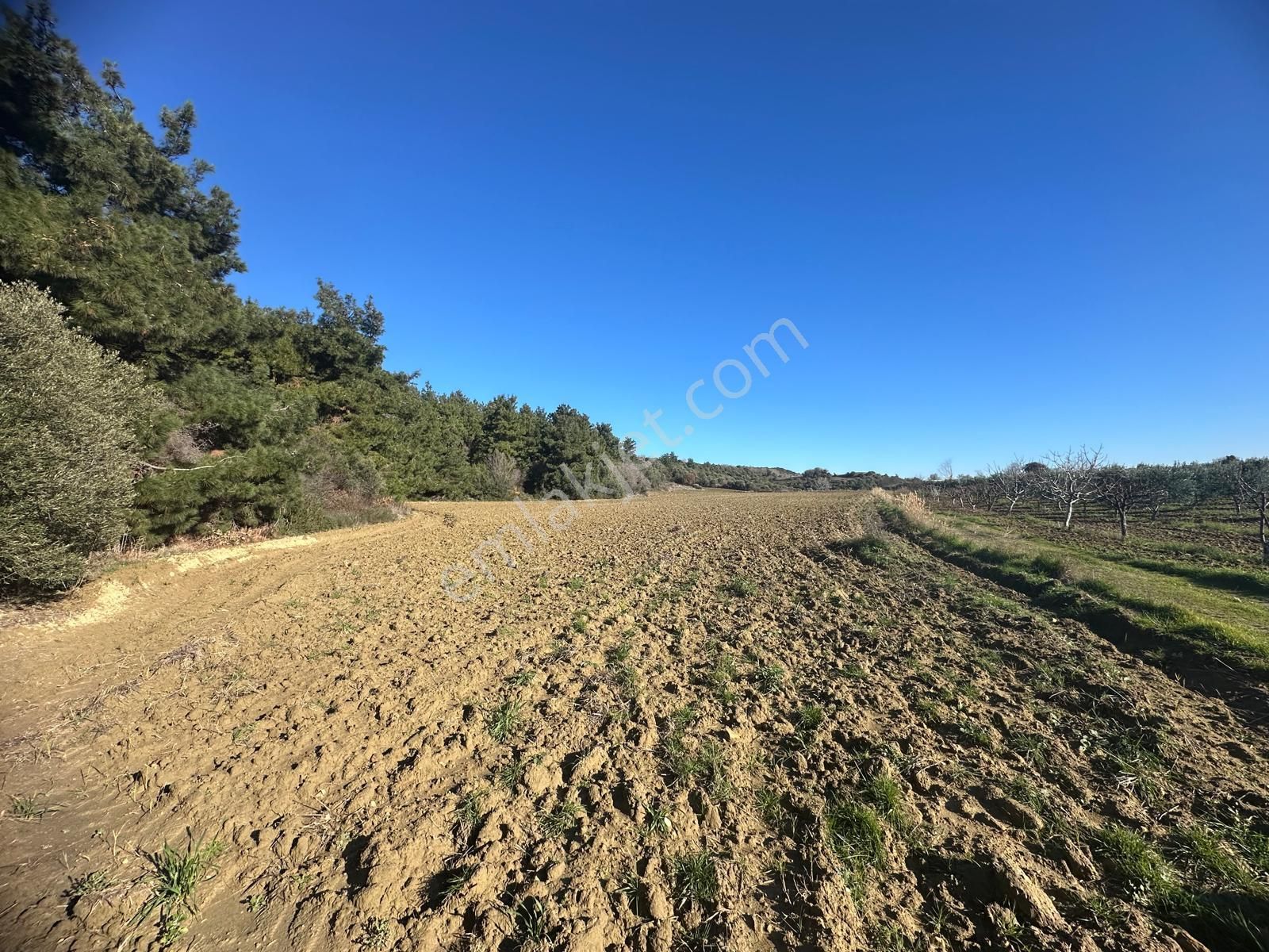 Gelibolu Burhanlı'da Yatırımlık Arsa-acil Satılık!!! - Görsel 5