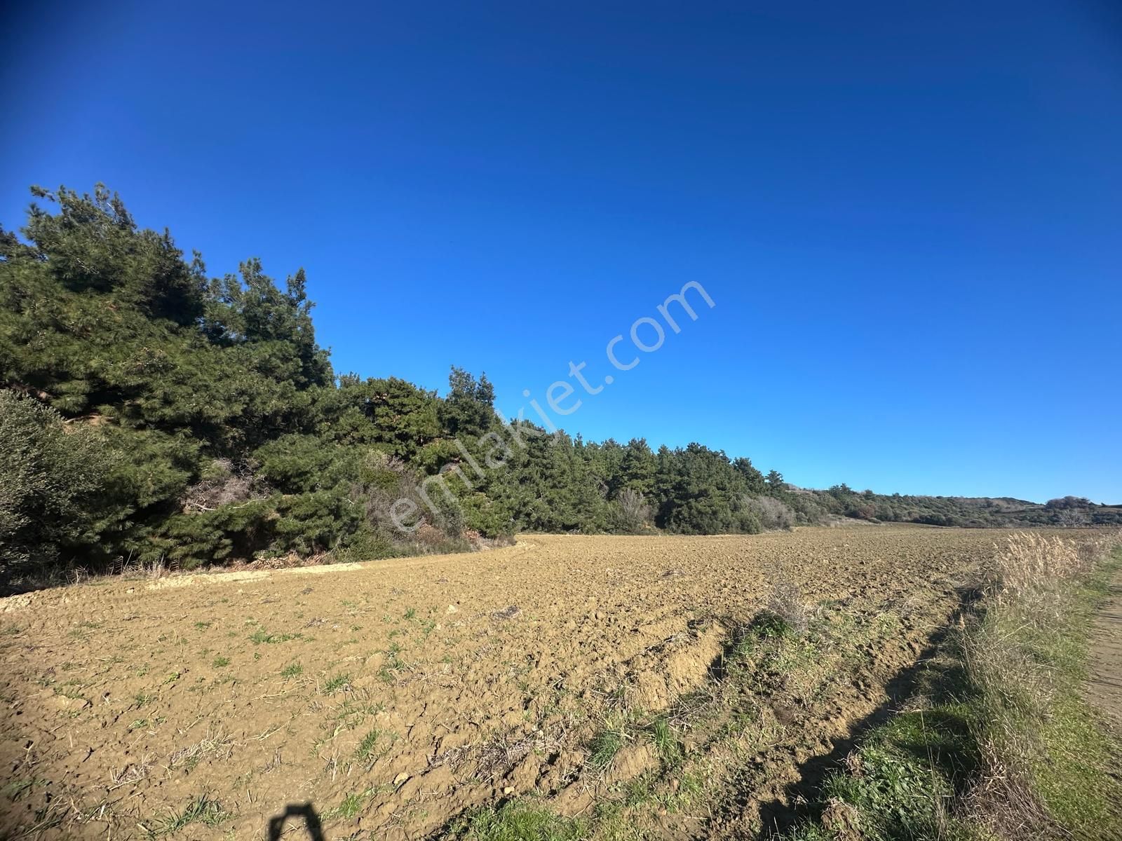 Gelibolu Burhanlı'da Yatırımlık Arsa-acil Satılık!!! - Görsel 4