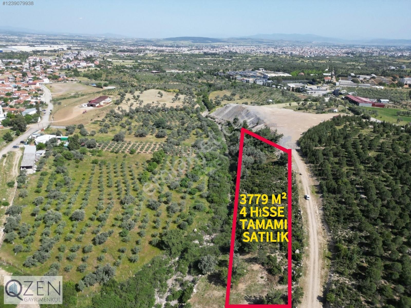Qzen'den Görece De 3779 M2 Tek Tapu Zeytinlik