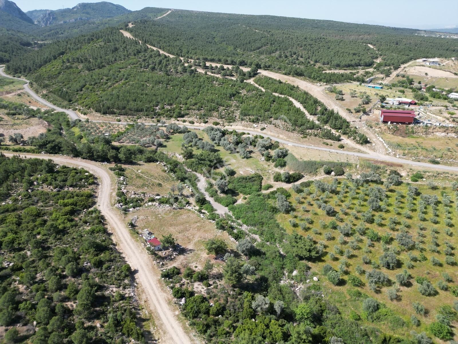 Qzen'den Görece De 3779 M2 Tek Tapu Zeytinlik - Görsel 18