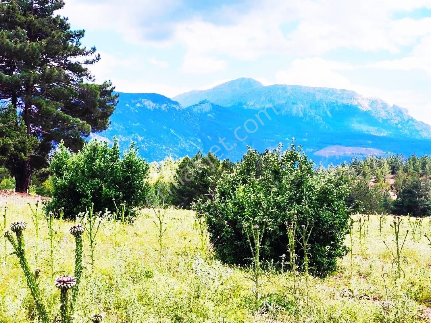 Kar Emlaktan Alpu Yaylasında 480 M2 Satılık Arsa - Görsel 8