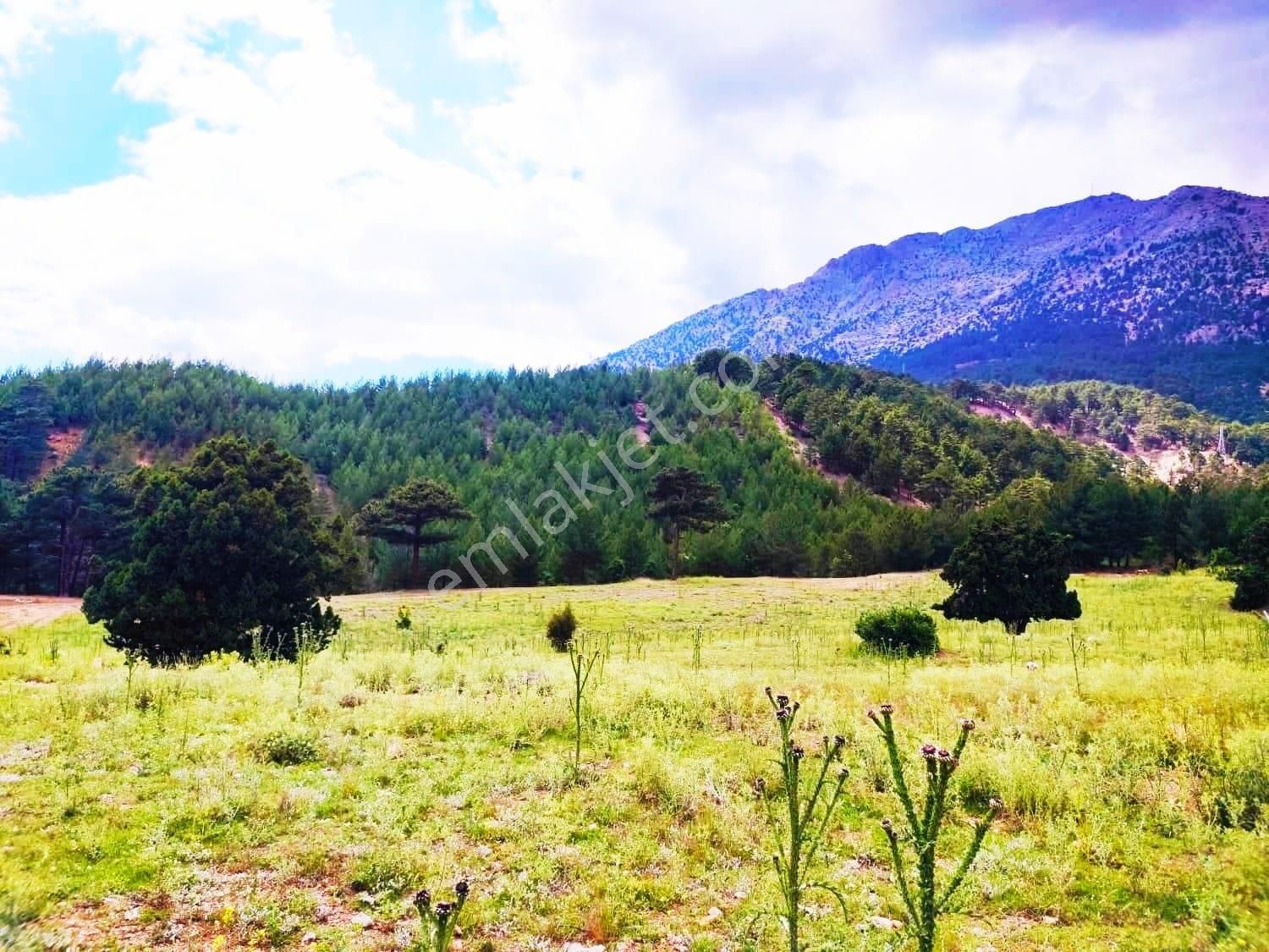 Kar Emlaktan Alpu Yaylasında 480 M2 Satılık Arsa - Görsel 17