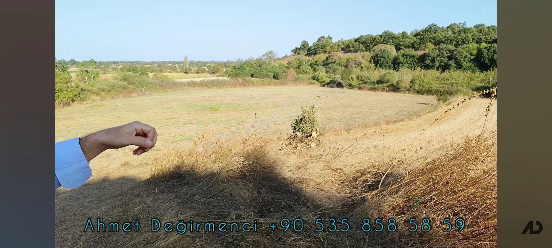 9950 M2 Verimli Sulak Arazi Suyu Yolu Var Danişment Biga Çanakkale