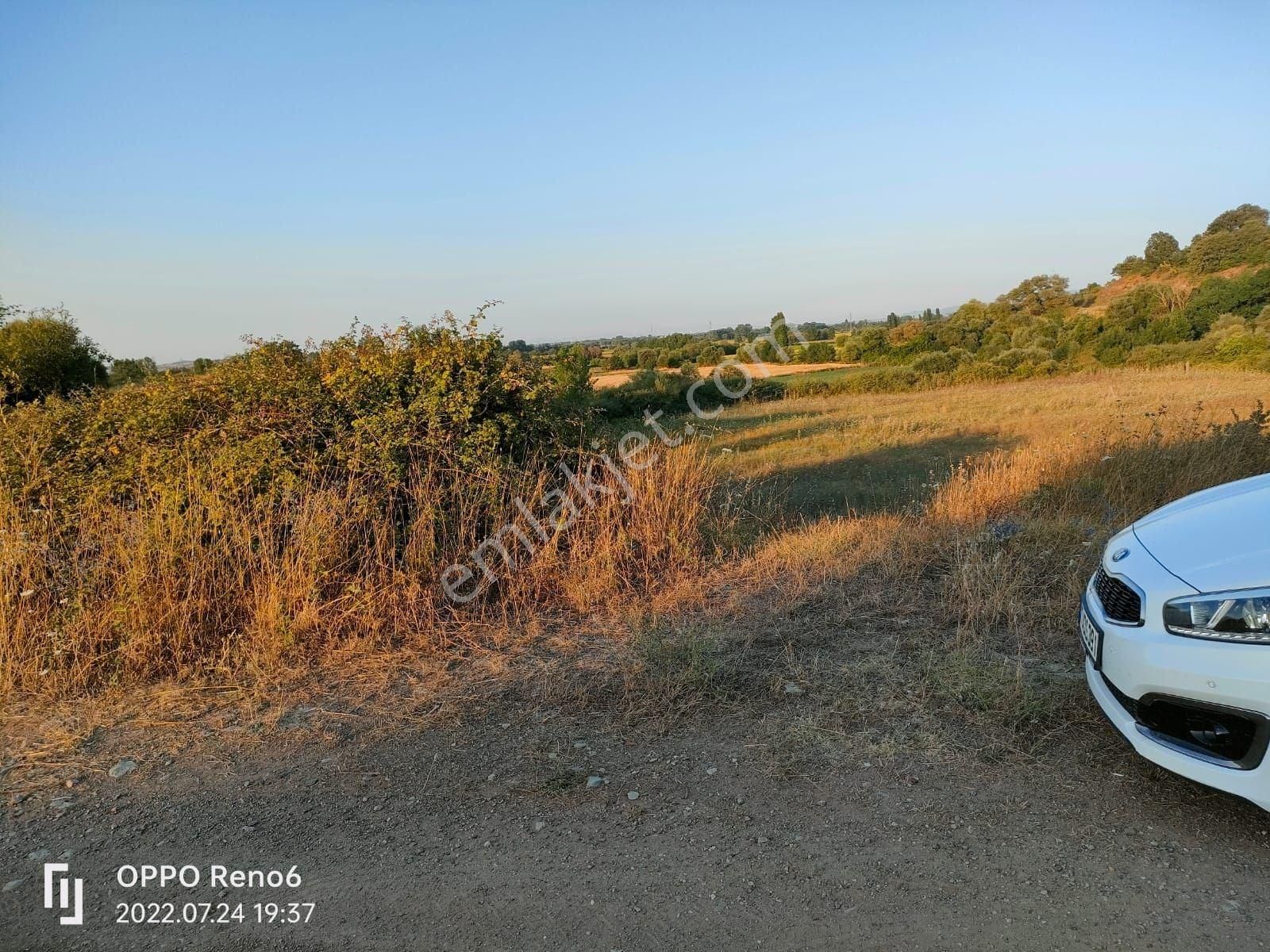 9950 M2 Verimli Sulak Arazi Suyu Yolu Var Danişment Biga Çanakkale - Görsel 14