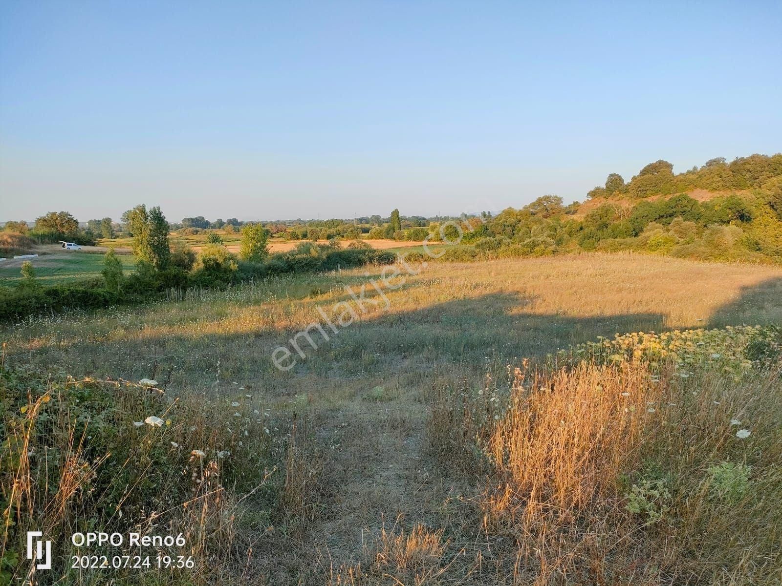 9950 M2 Verimli Sulak Arazi Suyu Yolu Var Danişment Biga Çanakkale - Görsel 12