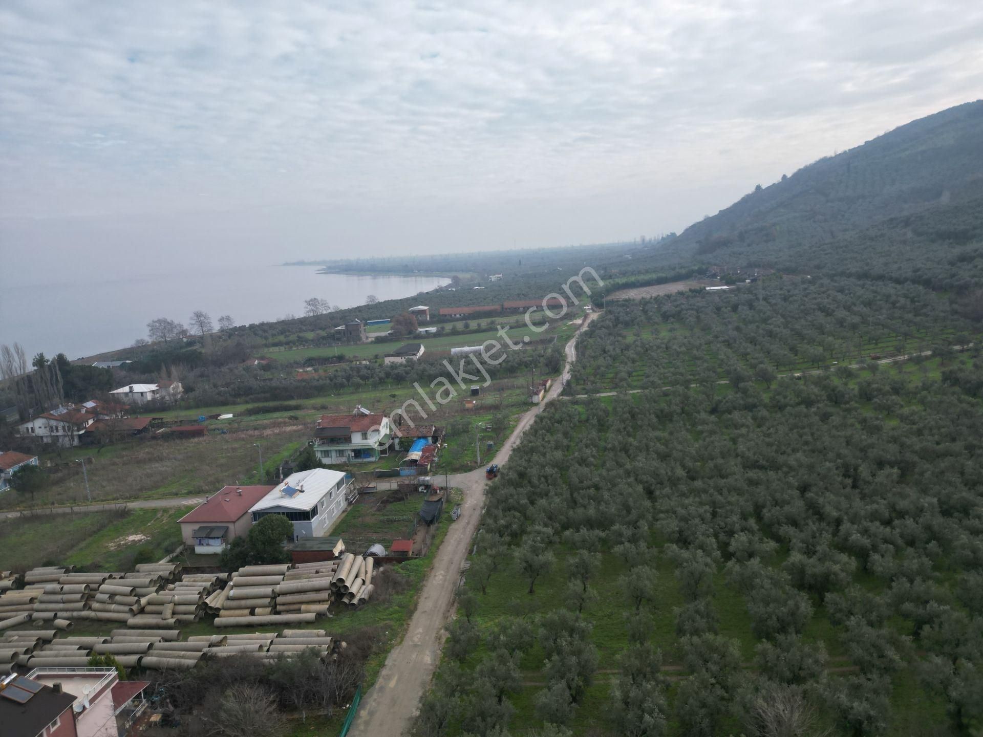 Bursa Orhangazi Gölyaka Satılık 13 Adet İmarlı Arsa - Görsel 21