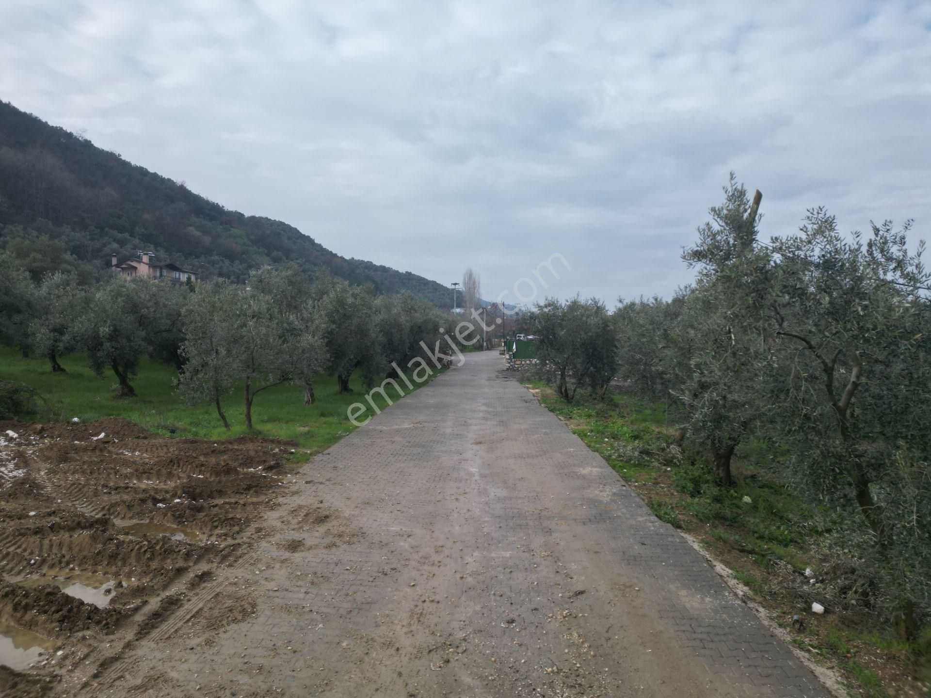 Bursa Orhangazi Gölyaka Satılık 13 Adet İmarlı Arsa - Görsel 24