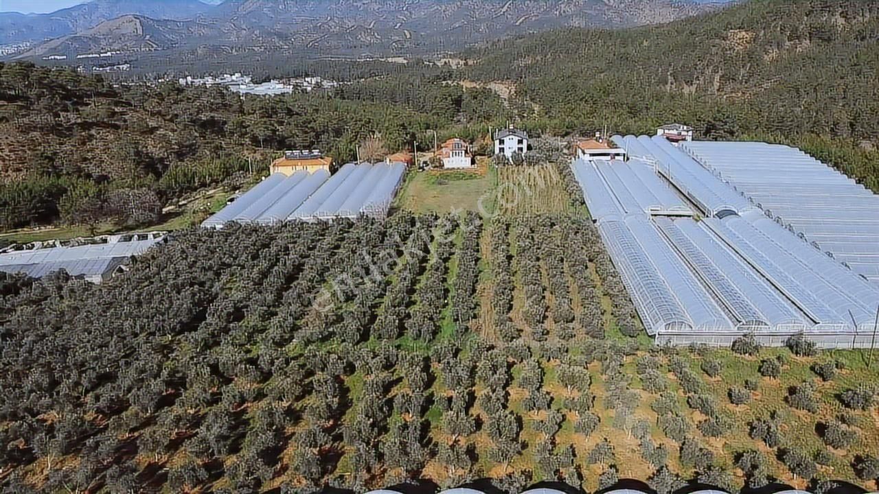 Fethiye Bozyer'de Yüksek Değerli Yatırım 7.252 M² Arazi+ Villa - Görsel 4