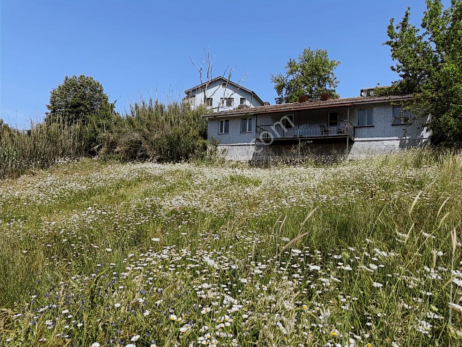 Çayırköy Kandıra Yolu Üzeri Tabela Değeri Kiralık -satılık Arsa - Görsel 29