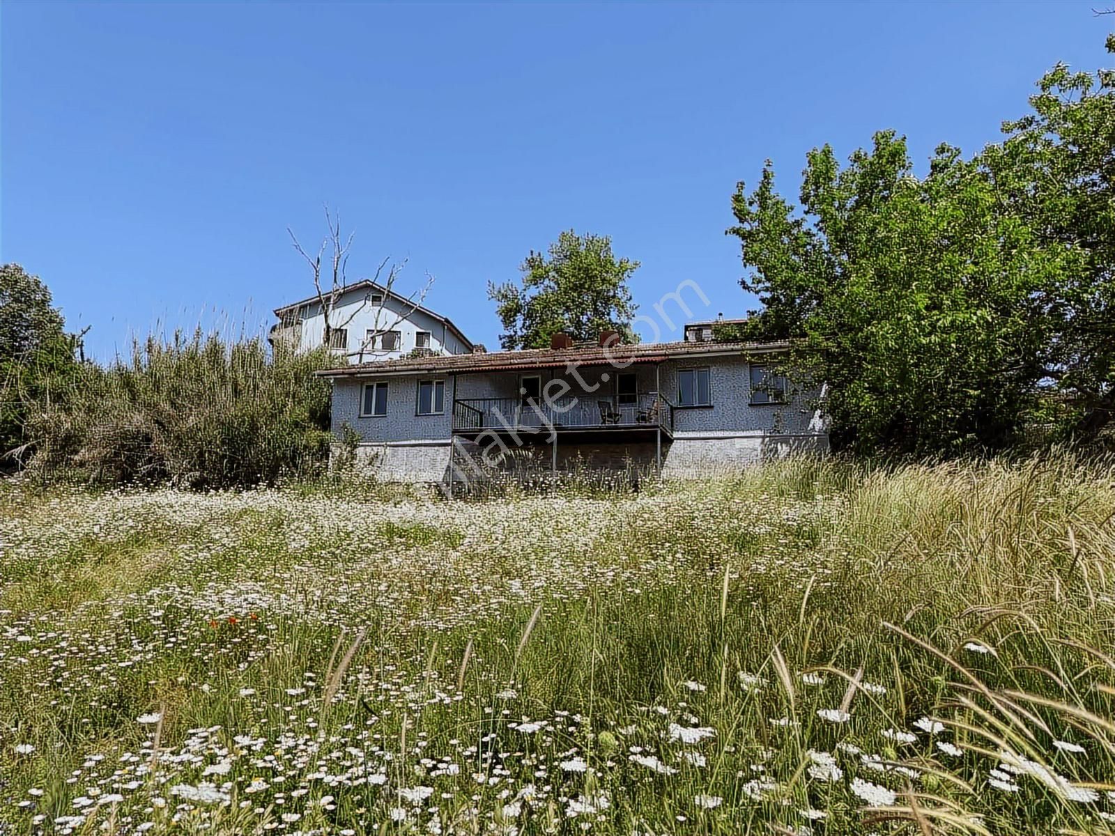 Çayırköy Kandıra Yolu Üzeri Tabela Değeri Kiralık -satılık Arsa - Görsel 4