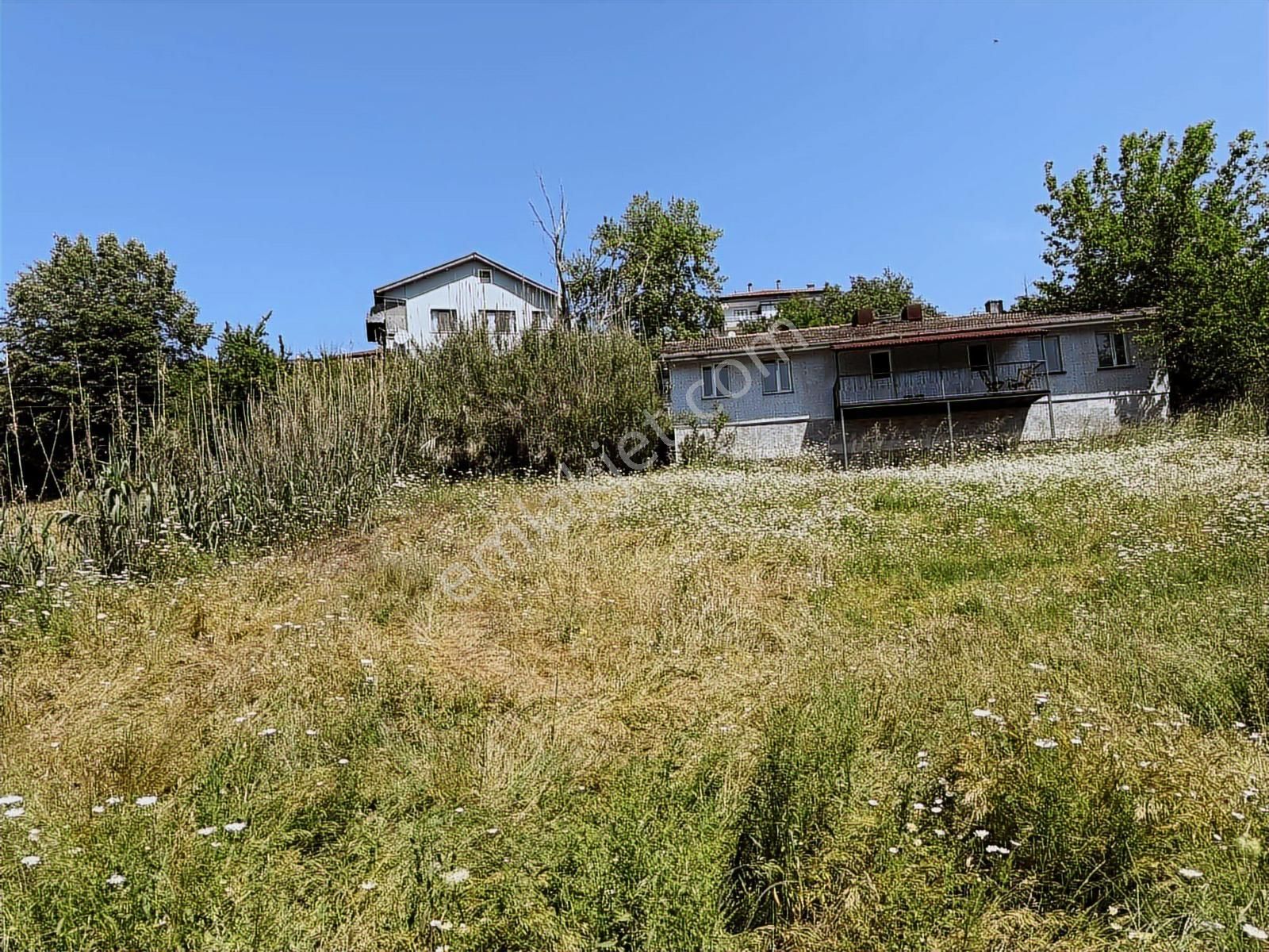 Çayırköy Kandıra Yolu Üzeri Tabela Değeri Kiralık -satılık Arsa - Görsel 27