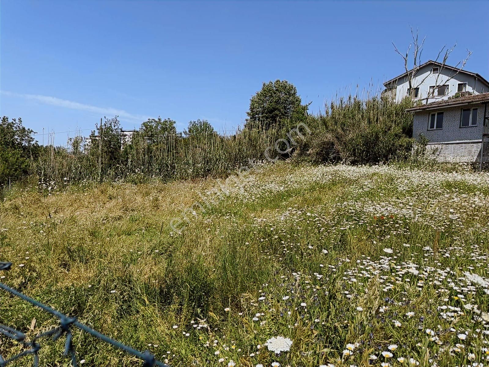 Çayırköy Kandıra Yolu Üzeri Tabela Değeri Kiralık -satılık Arsa - Görsel 6