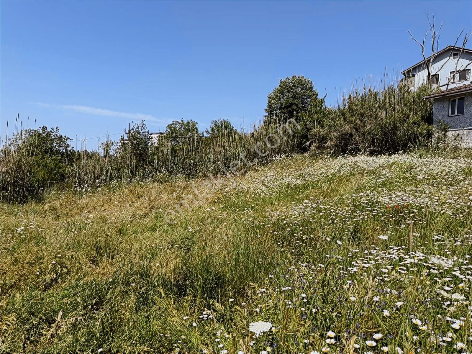 Çayırköy Kandıra Yolu Üzeri Tabela Değeri Kiralık -satılık Arsa - Görsel 25