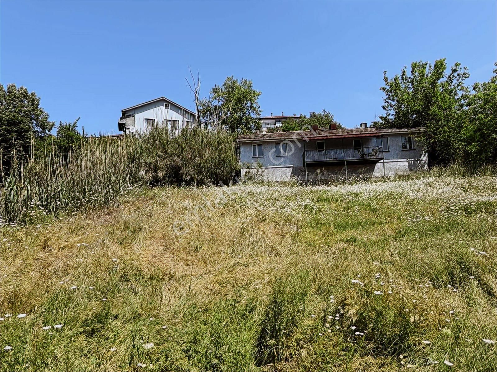 Çayırköy Kandıra Yolu Üzeri Tabela Değeri Kiralık -satılık Arsa - Görsel 16