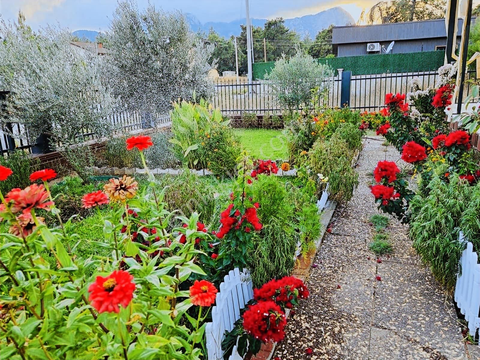 Satılık Çok Uygun Ve Hesaplı - Görsel 19