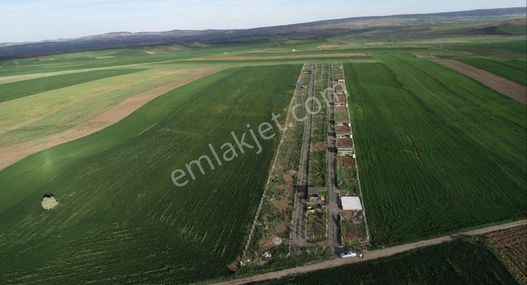 Ankara Gölbaşı Günalan Mahallesinde 400m2 Hobi Bahçesi - Görsel 2