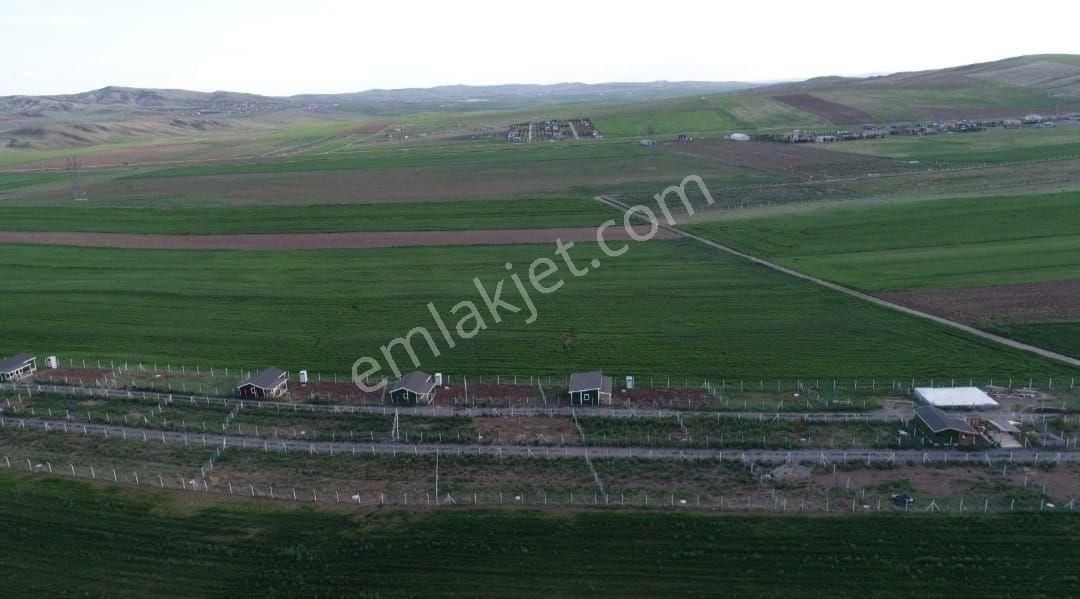 Ankara Gölbaşı Günalan Mahallesinde 400m2 Hobi Bahçesi - Görsel 4