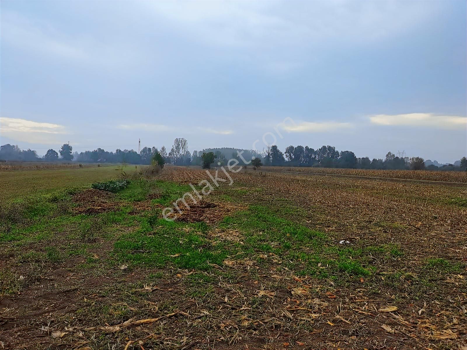 Yılmaz Mega'dan 7 Dönüm Tarla Mükemmel Konum Harika Fiyat - Görsel 10