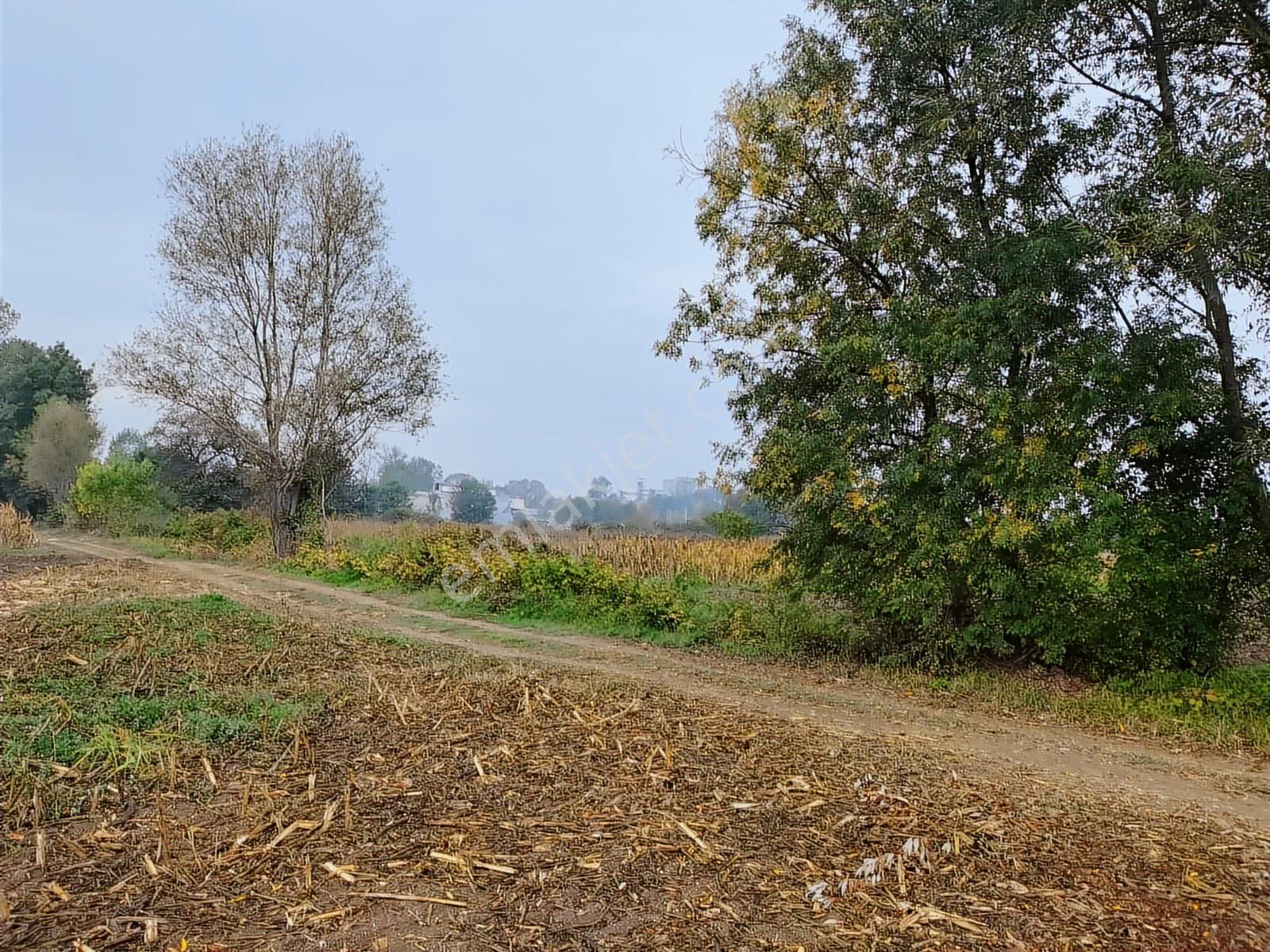 Yılmaz Mega'dan 7 Dönüm Tarla Mükemmel Konum Harika Fiyat - Görsel 9