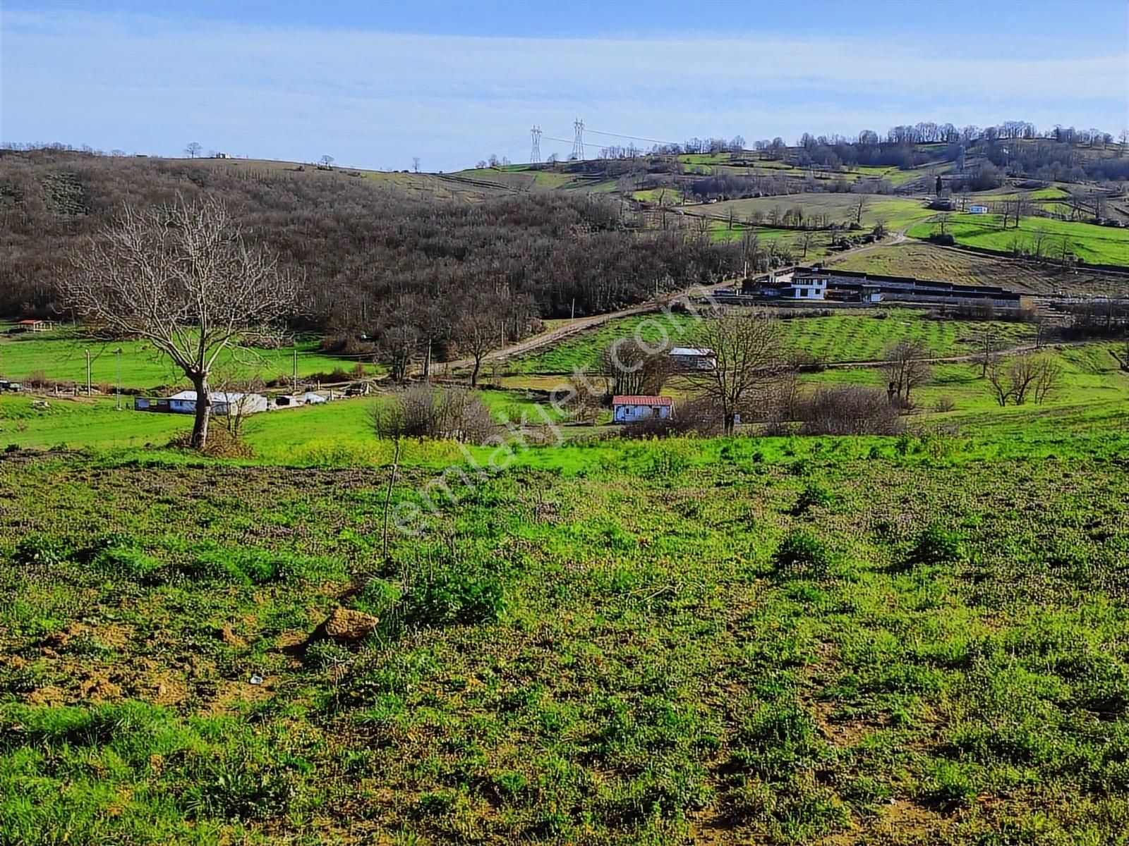 Tarcanlar'dan İzmit Kaynarca'da Kupon Fırsat Tarla - Görsel 17