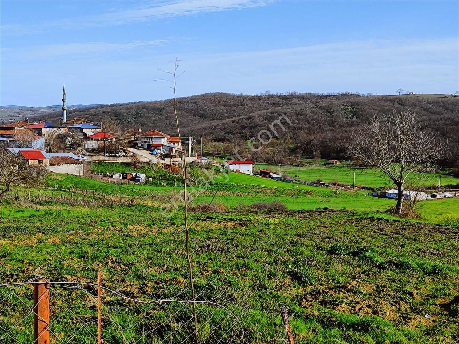 Tarcanlar'dan İzmit Kaynarca'da Kupon Fırsat Tarla - Görsel 18