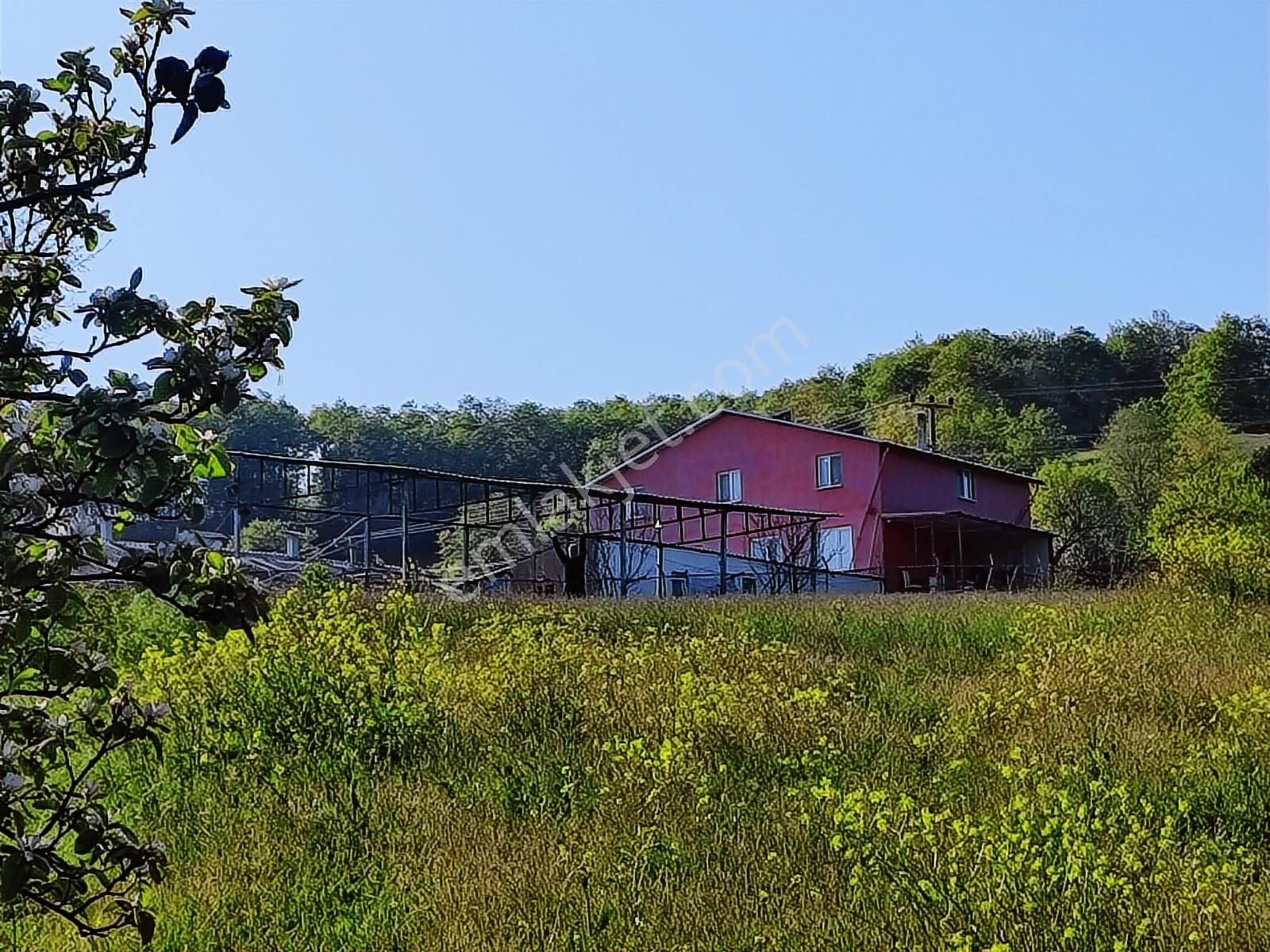 Tarcanlar'dan İzmit Kaynarca'da Kupon Fırsat Tarla - Görsel 3