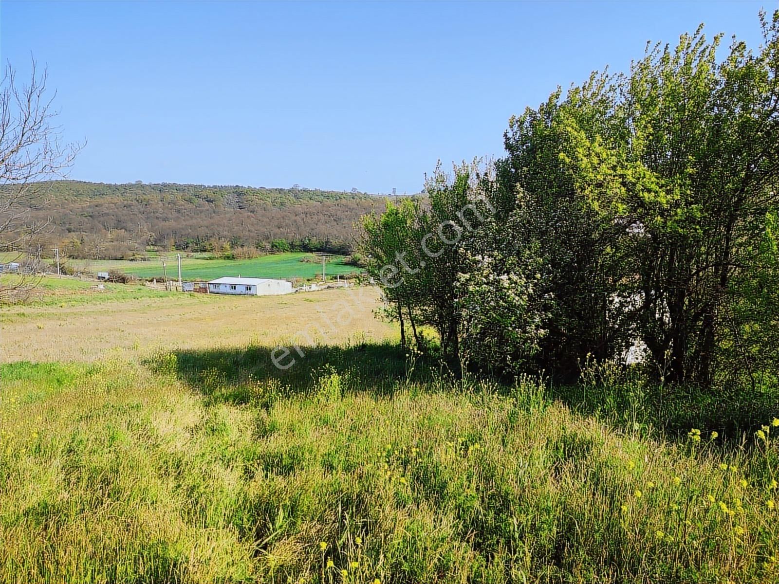 Tarcanlar'dan İzmit Kaynarca'da Kupon Fırsat Tarla - Görsel 13