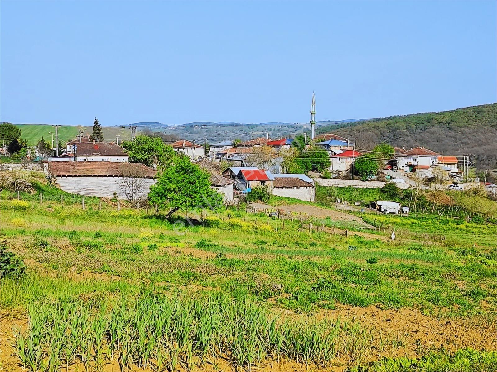Tarcanlar'dan İzmit Kaynarca'da Kupon Fırsat Tarla