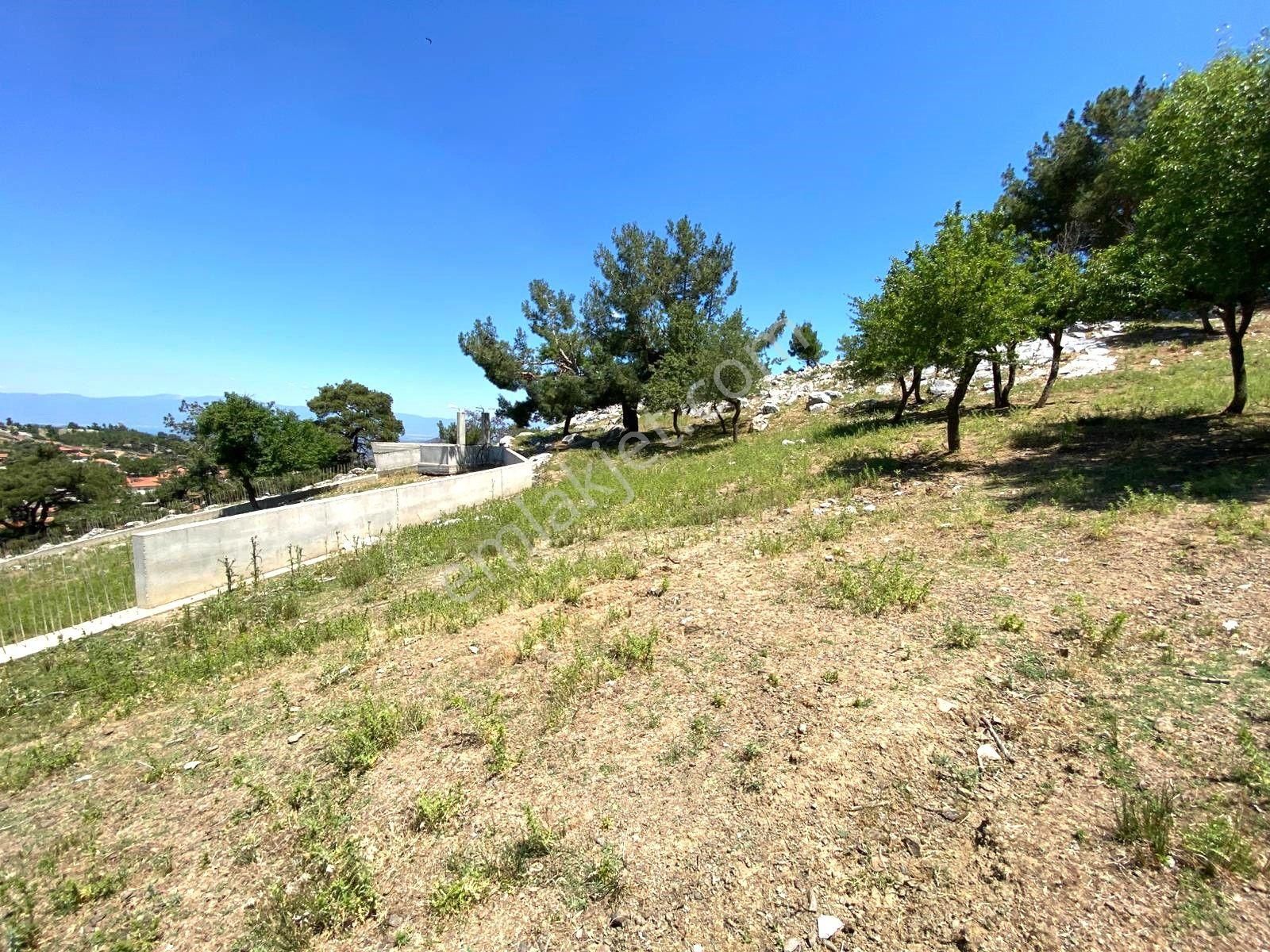 🟥aktif'ten Burhaniye Kuyumcu'da 1868m2 Satılık Bağ Bahçe🟥 - Görsel 27