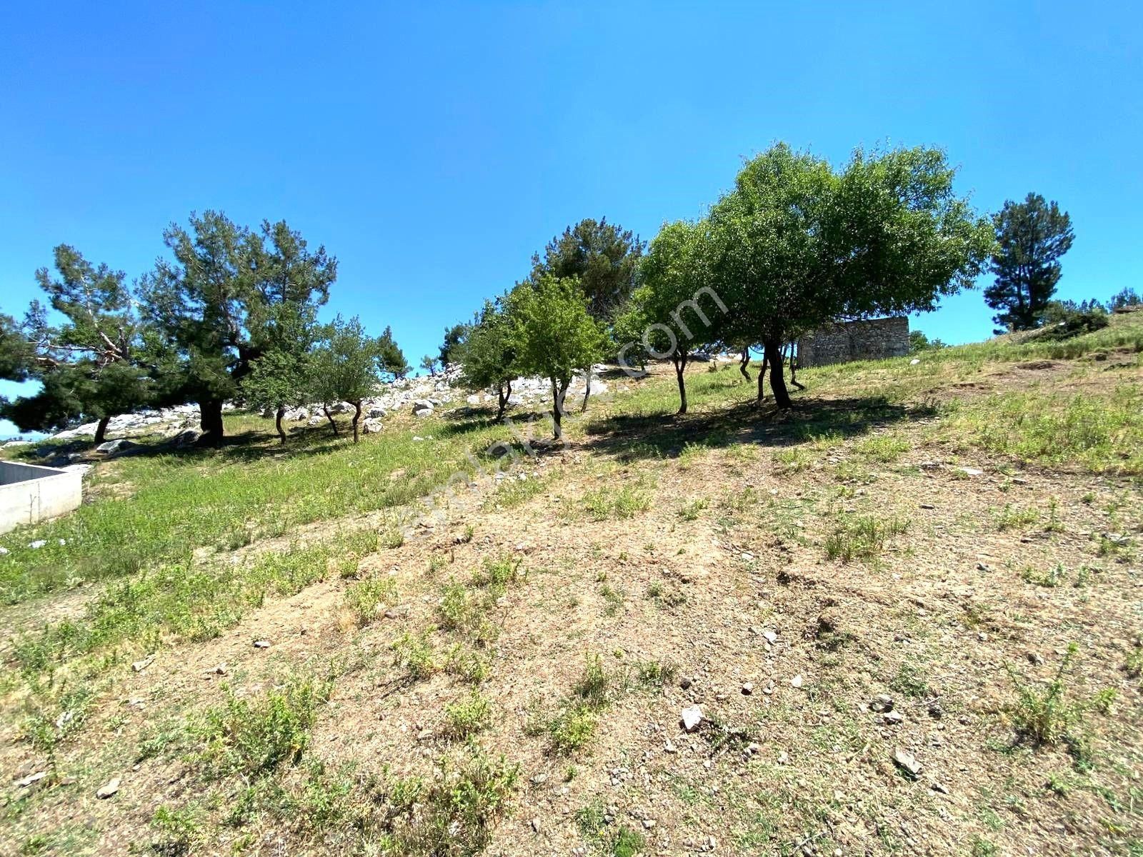 🟥aktif'ten Burhaniye Kuyumcu'da 1868m2 Satılık Bağ Bahçe🟥 - Görsel 19