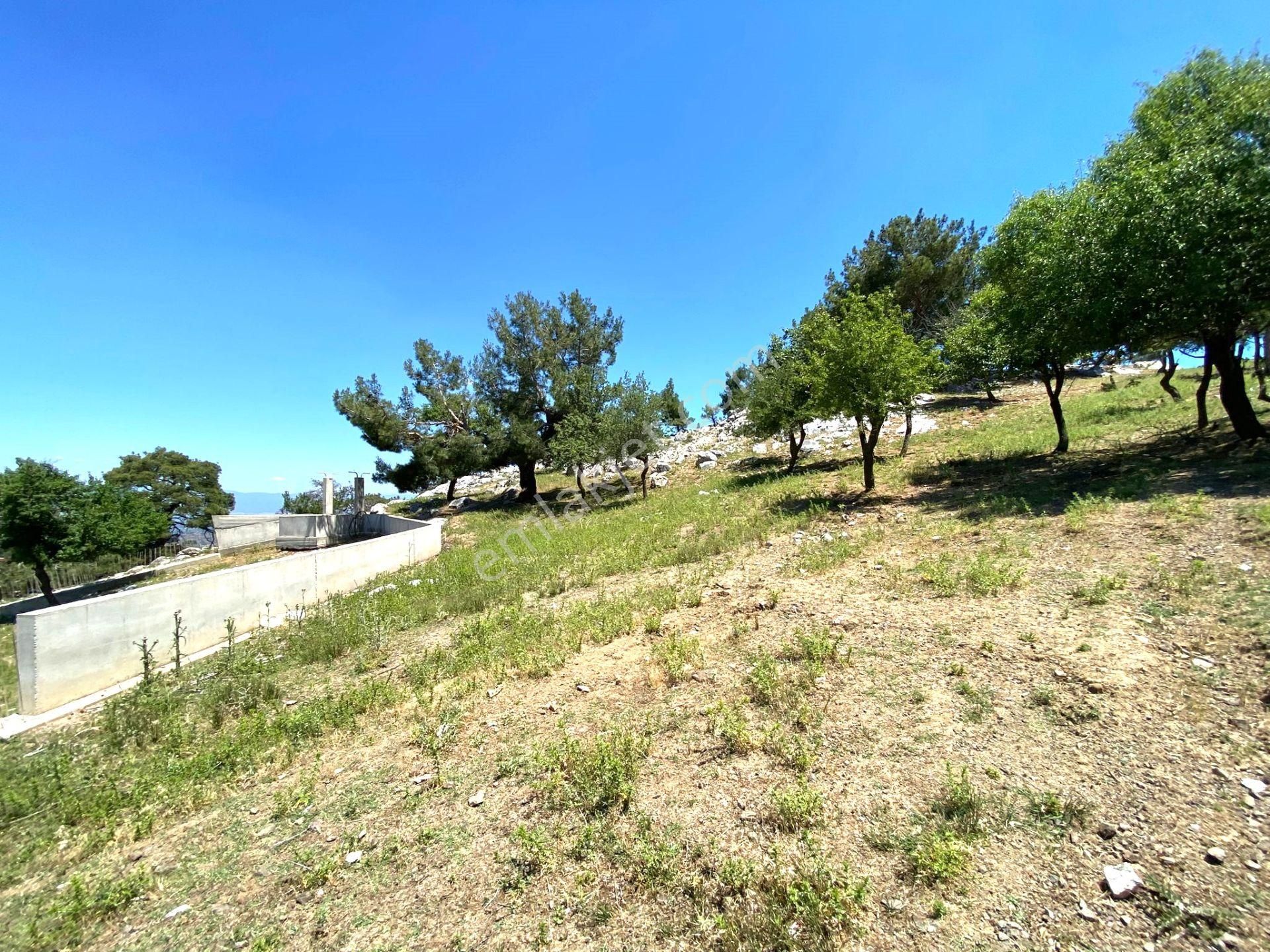 🟥aktif'ten Burhaniye Kuyumcu'da 1868m2 Satılık Bağ Bahçe🟥 - Görsel 32