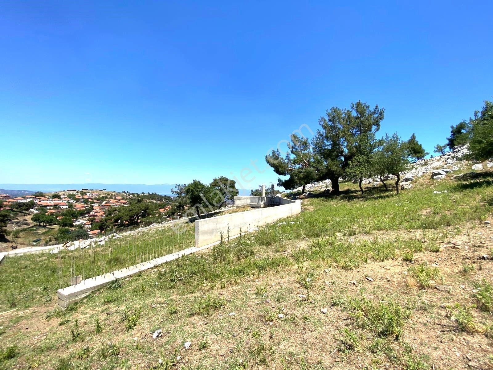 🟥aktif'ten Burhaniye Kuyumcu'da 1868m2 Satılık Bağ Bahçe🟥 - Görsel 18