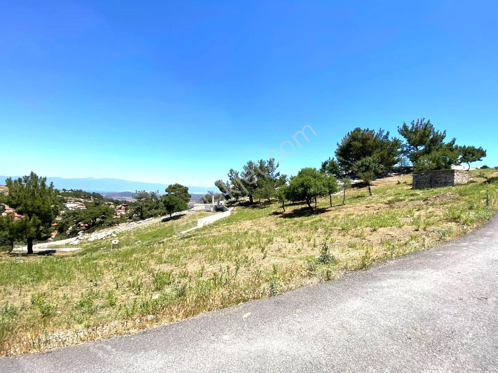 🟥aktif'ten Burhaniye Kuyumcu'da 1868m2 Satılık Bağ Bahçe🟥 - Görsel 3