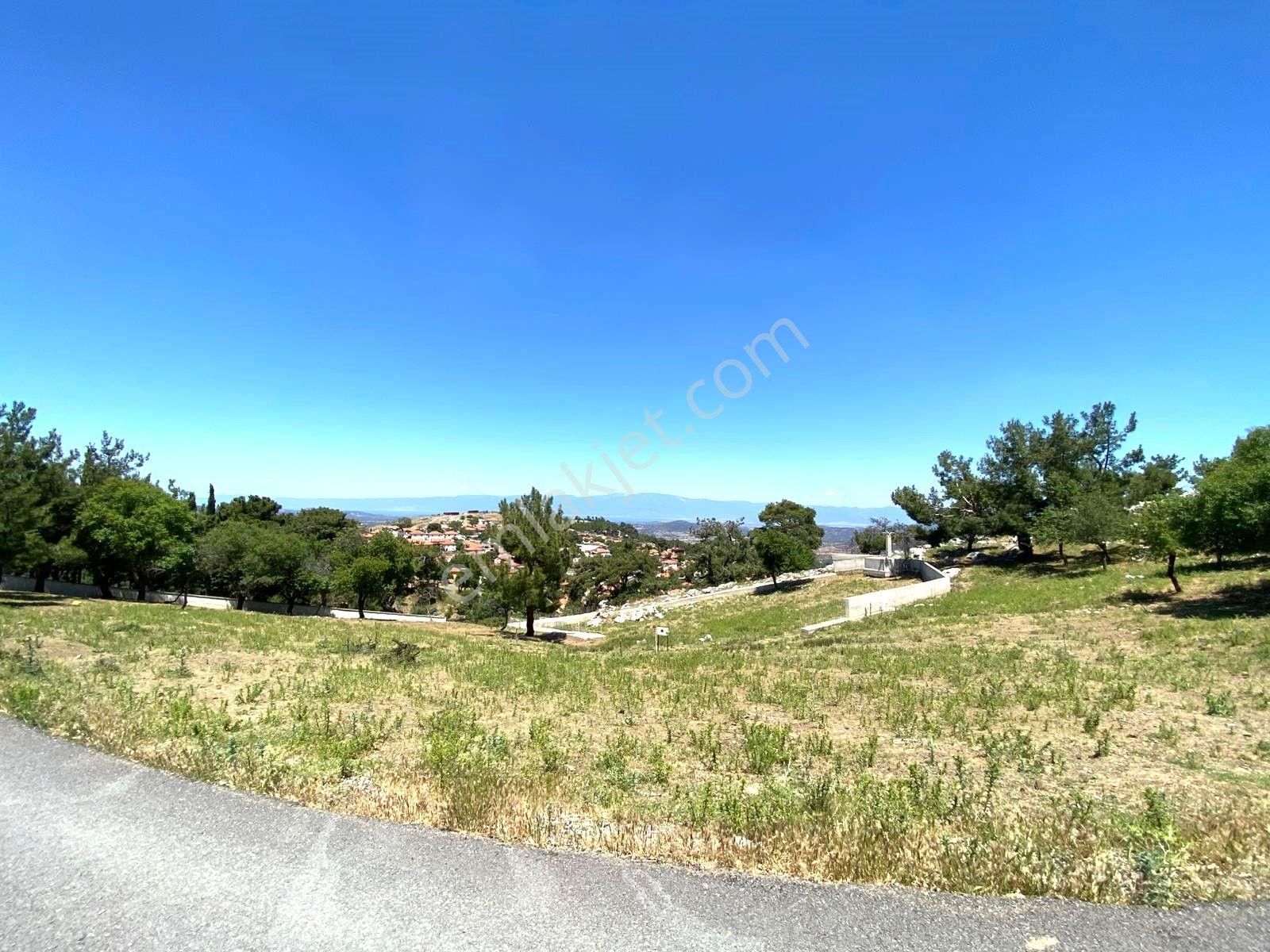 🟥aktif'ten Burhaniye Kuyumcu'da 1868m2 Satılık Bağ Bahçe🟥 - Görsel 4