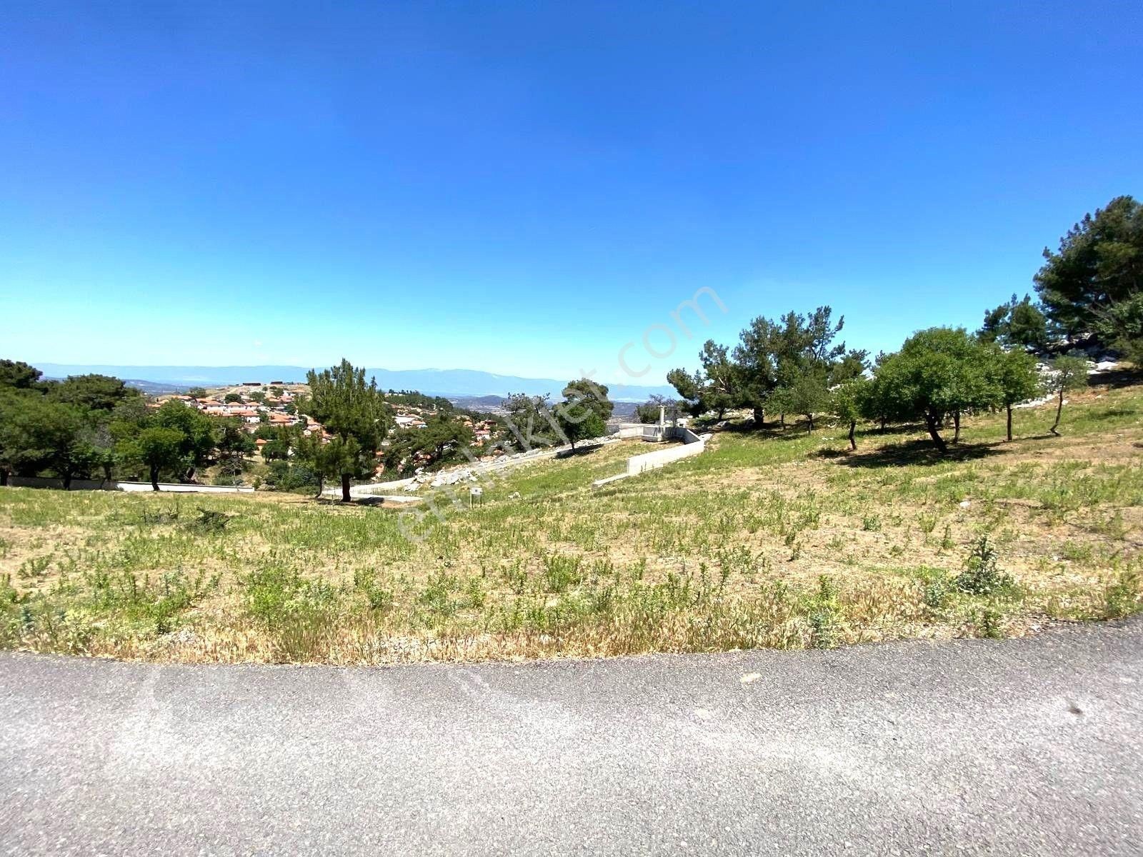 🟥aktif'ten Burhaniye Kuyumcu'da 1868m2 Satılık Bağ Bahçe🟥 - Görsel 6