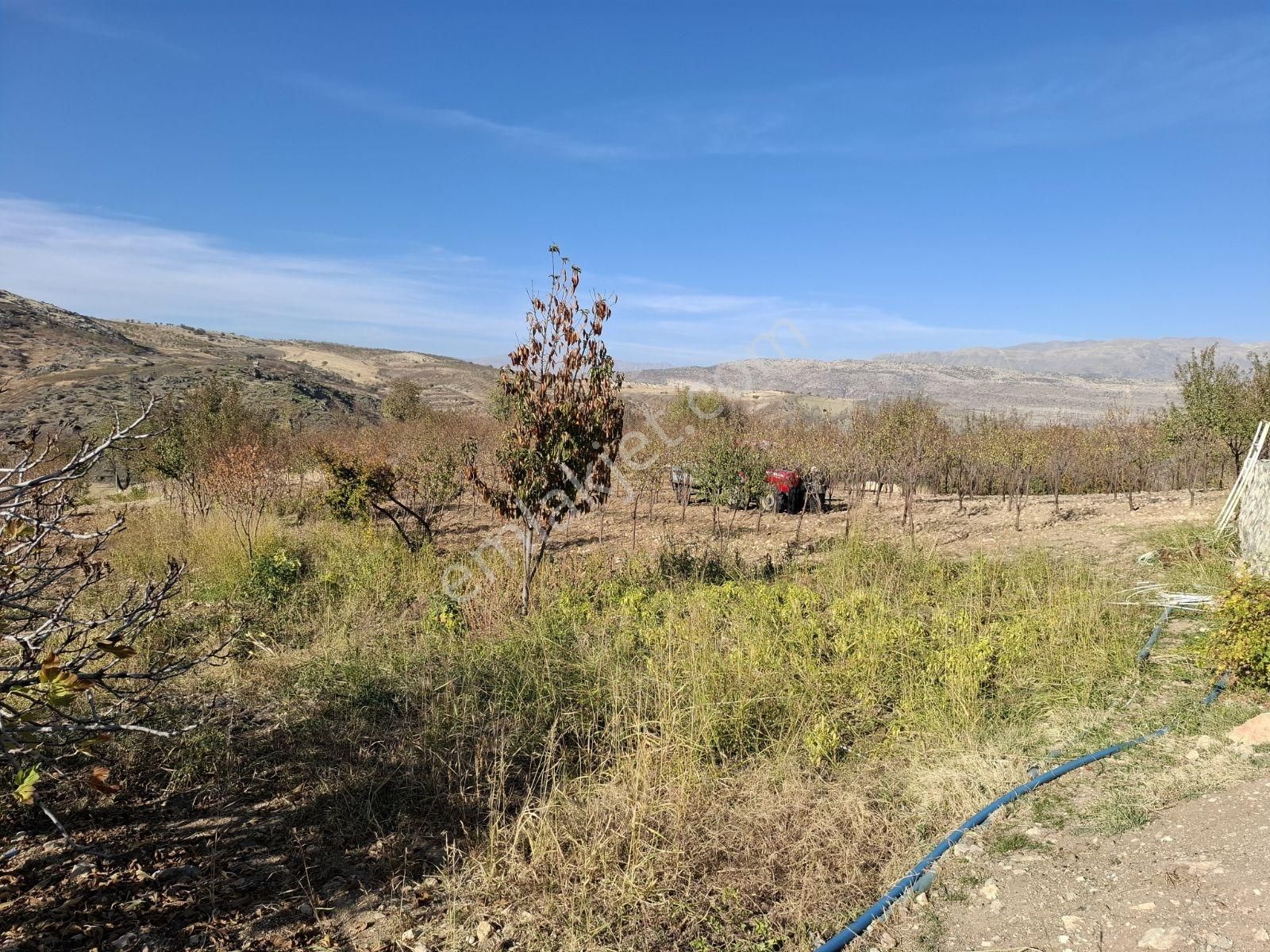 Hakev'den Şehrin Bitişiğinde Havuzlu Bağ Evi Ve Bahçe Satılıktı - Görsel 9