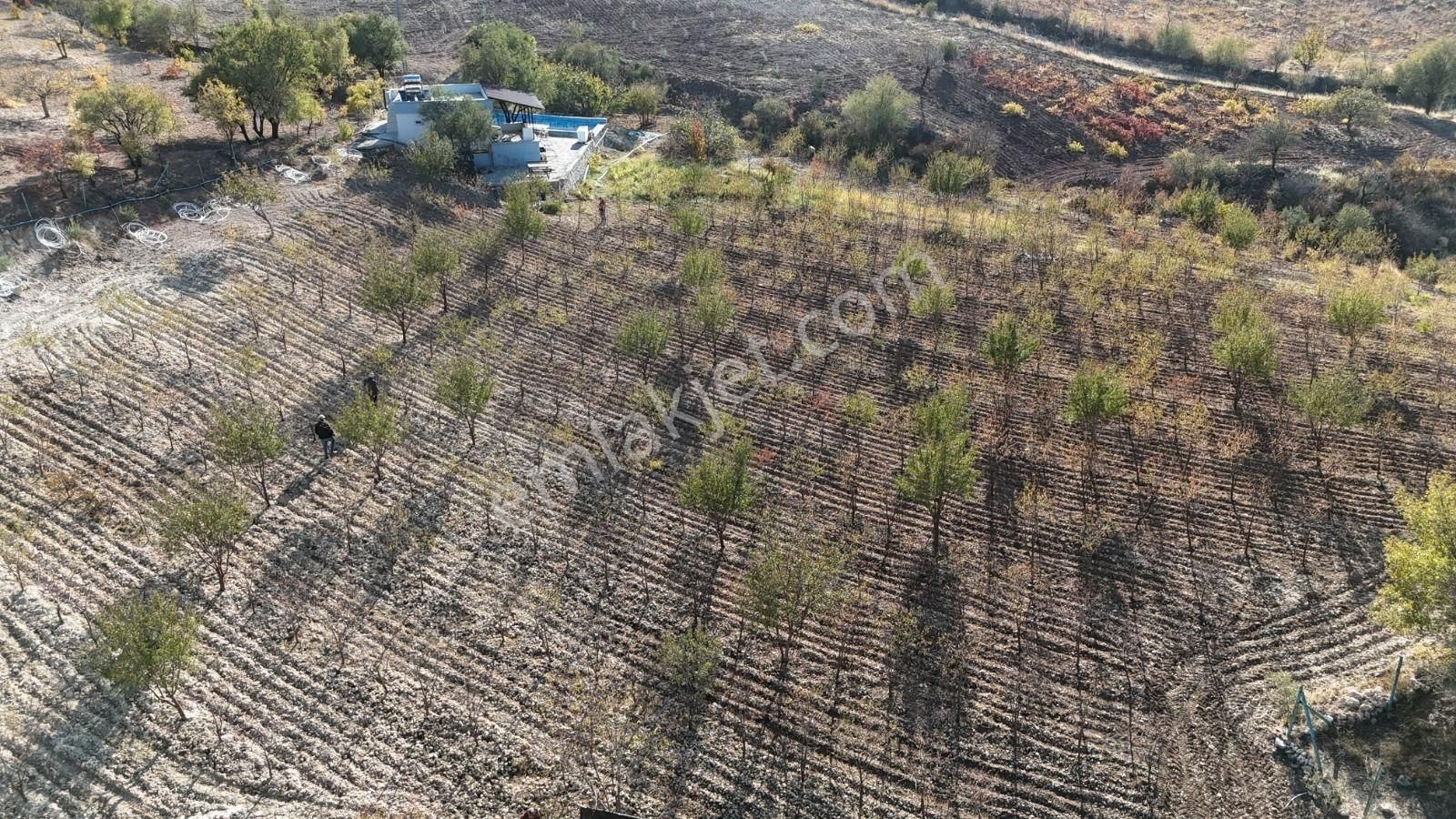 Hakev'den Şehrin Bitişiğinde Havuzlu Bağ Evi Ve Bahçe Satılıktı - Görsel 13