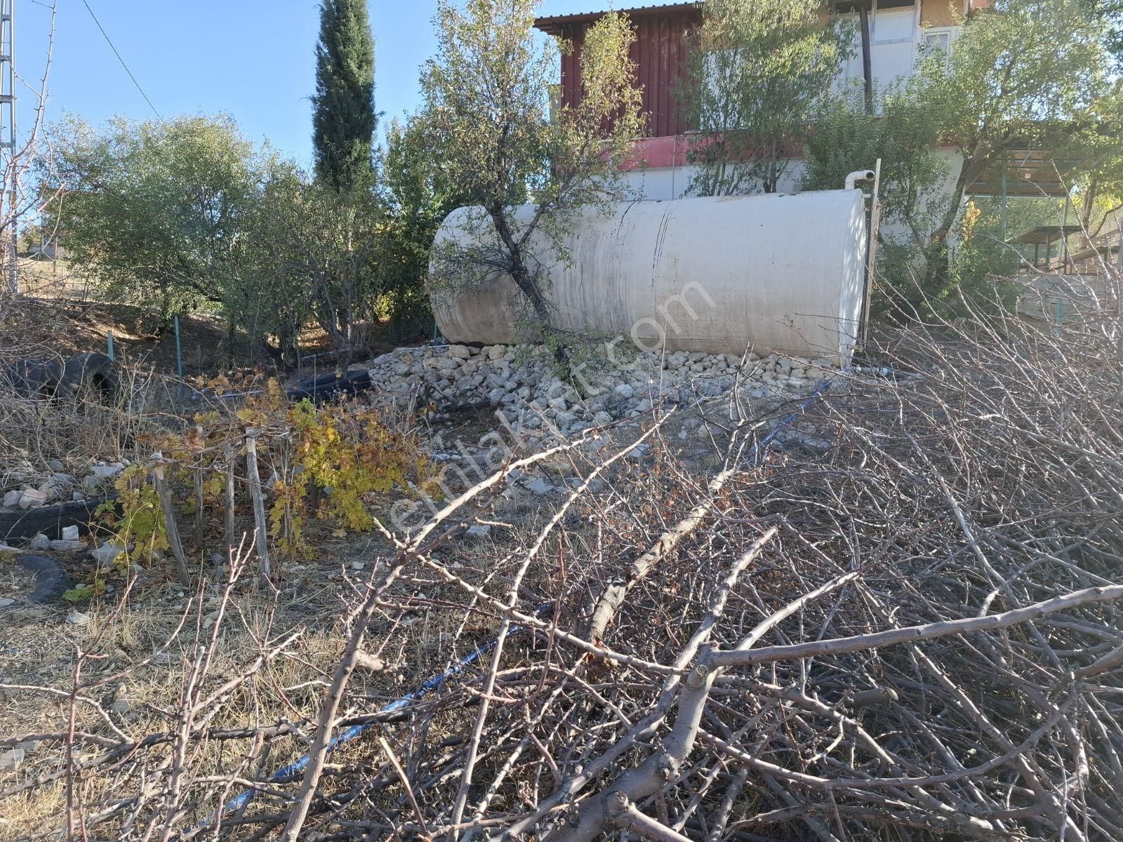 Hakev'den Şehrin Bitişiğinde Havuzlu Bağ Evi Ve Bahçe Satılıktı - Görsel 11