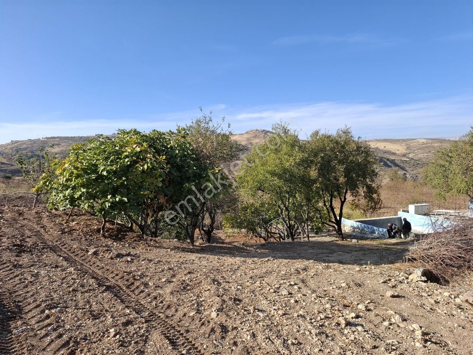 Hakev'den Şehrin Bitişiğinde Havuzlu Bağ Evi Ve Bahçe Satılıktı - Görsel 25