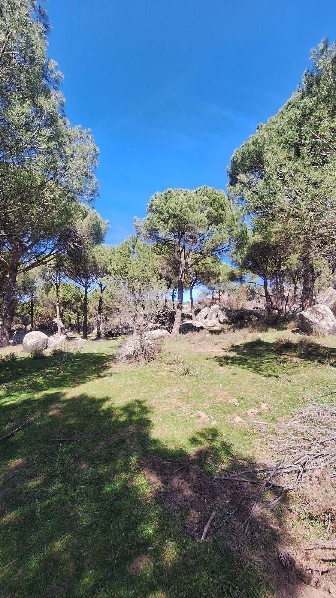 Ayvalık Bağyüzü Satılık 5868 M² Yatırımlık Tarım İmarlı Arazi - Görsel 19