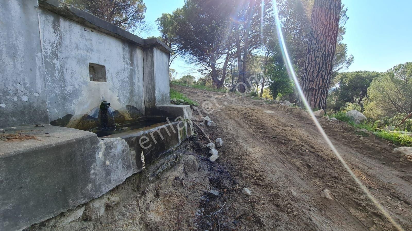 Ayvalık Bağyüzü Satılık 5868 M² Yatırımlık Tarım İmarlı Arazi - Görsel 11