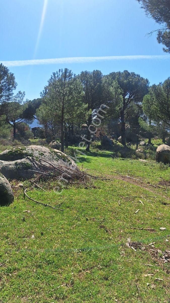 Ayvalık Bağyüzü Satılık 5868 M² Yatırımlık Tarım İmarlı Arazi - Görsel 23