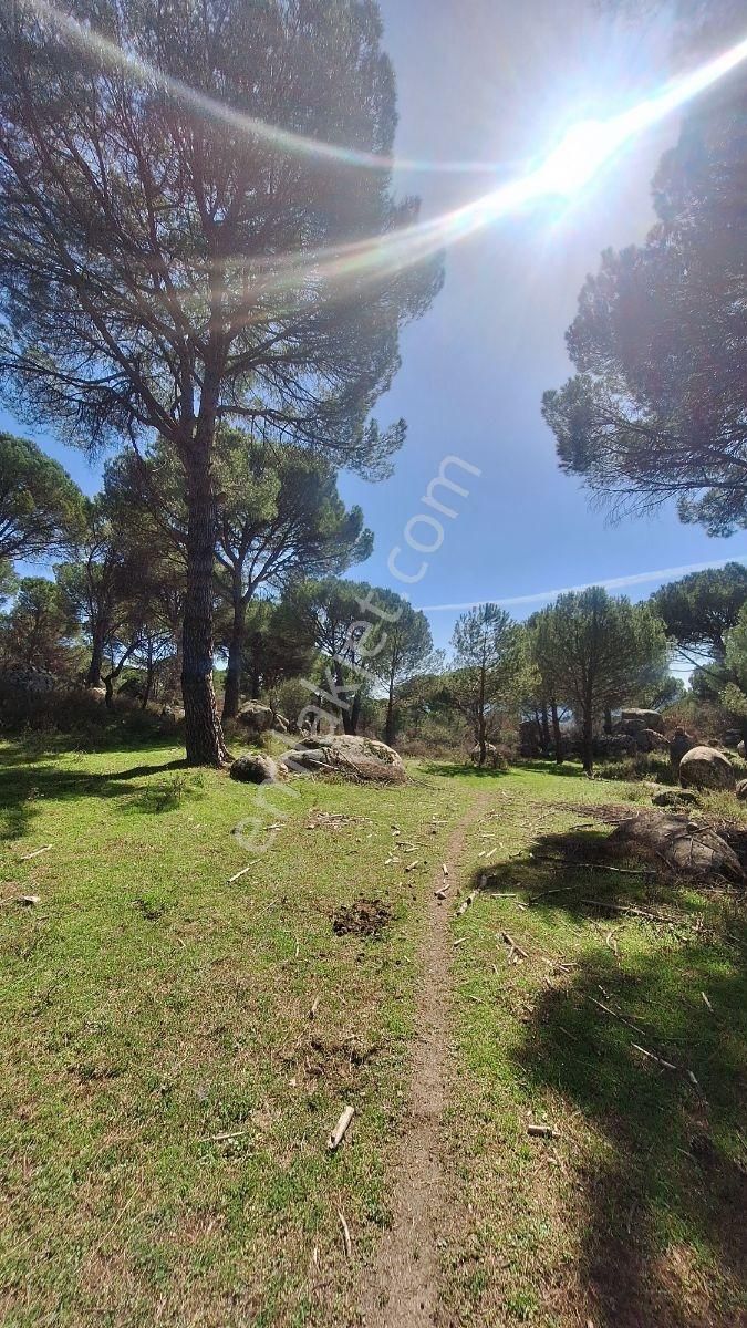 Ayvalık Bağyüzü Satılık 5868 M² Yatırımlık Tarım İmarlı Arazi - Görsel 20