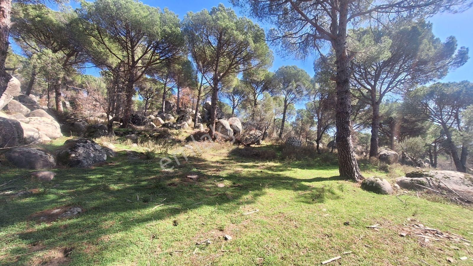 Ayvalık Bağyüzü Satılık 5868 M² Yatırımlık Tarım İmarlı Arazi - Görsel 15