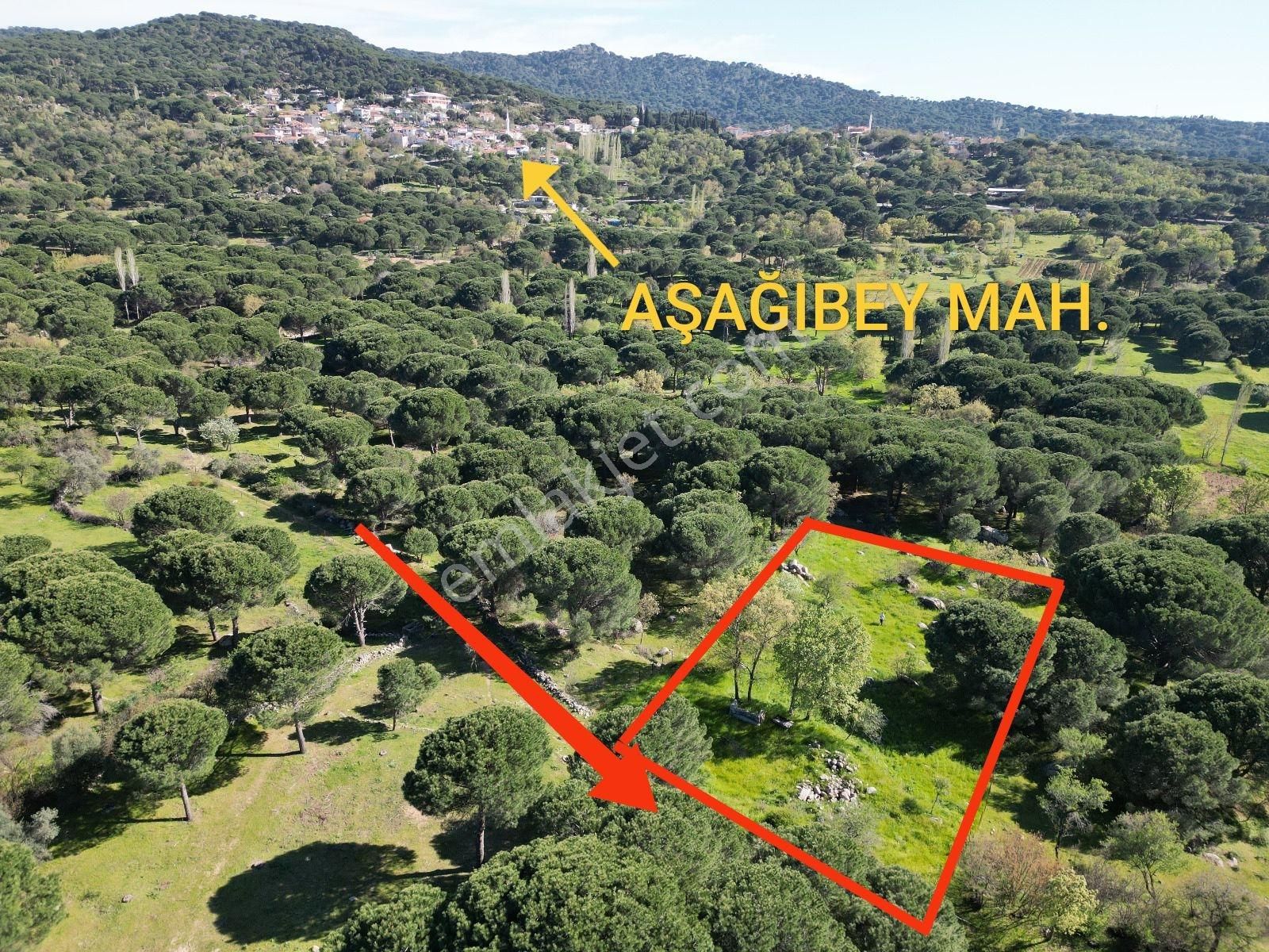 Cb Fark'tan Kozak Yaylası Aşağıbey Satılık 2950 M² Yatırımlık - Görsel 23