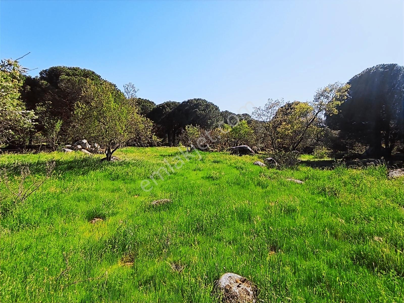 Cb Fark'tan Kozak Yaylası Aşağıbey Satılık 2950 M² Yatırımlık - Görsel 4