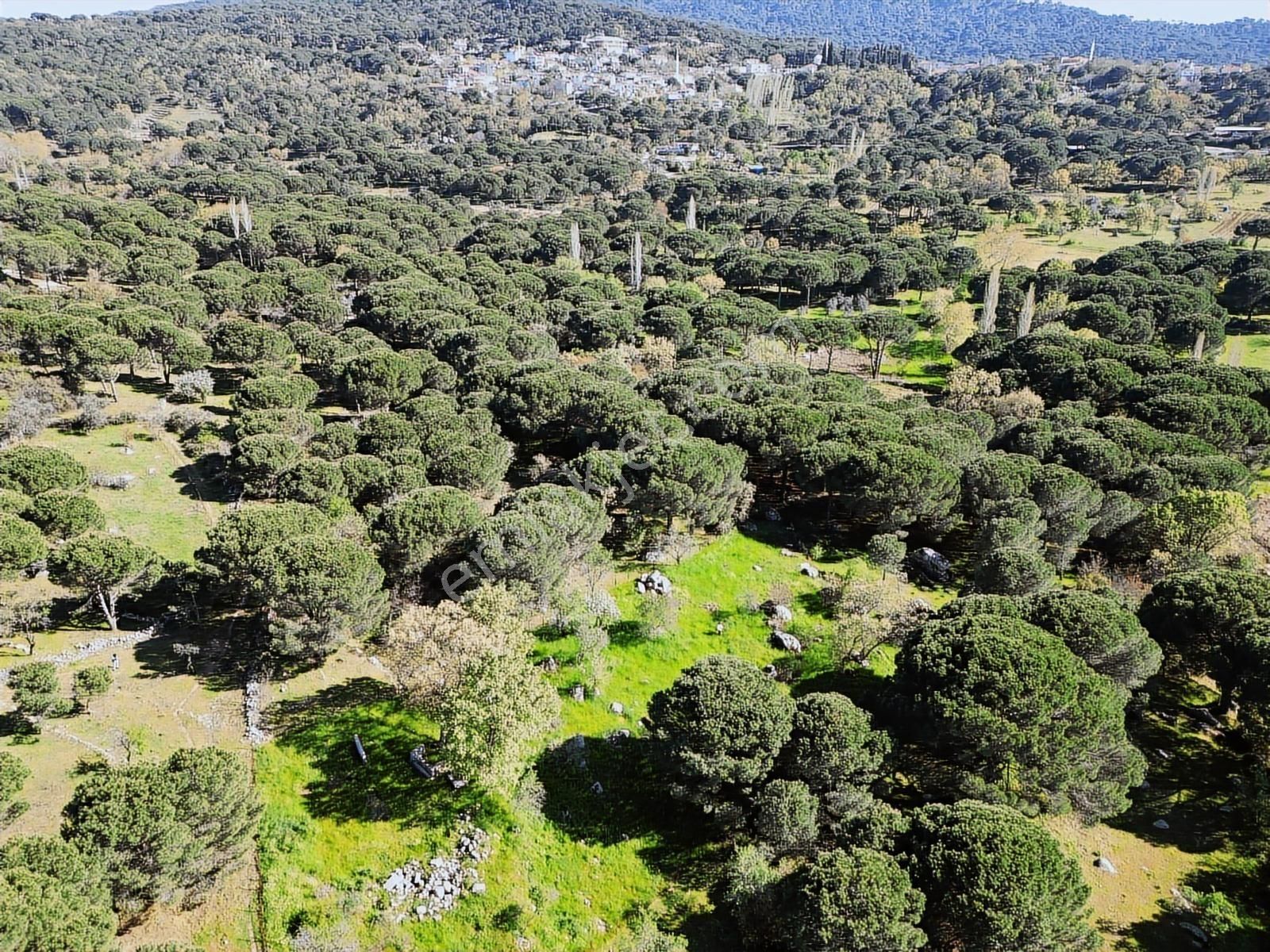 Cb Fark'tan Kozak Yaylası Aşağıbey Satılık 2950 M² Yatırımlık - Görsel 25
