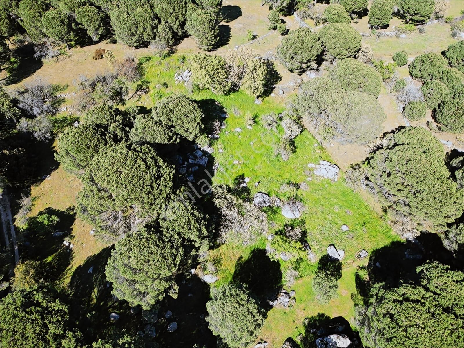 Cb Fark'tan Kozak Yaylası Aşağıbey Satılık 2950 M² Yatırımlık - Görsel 18