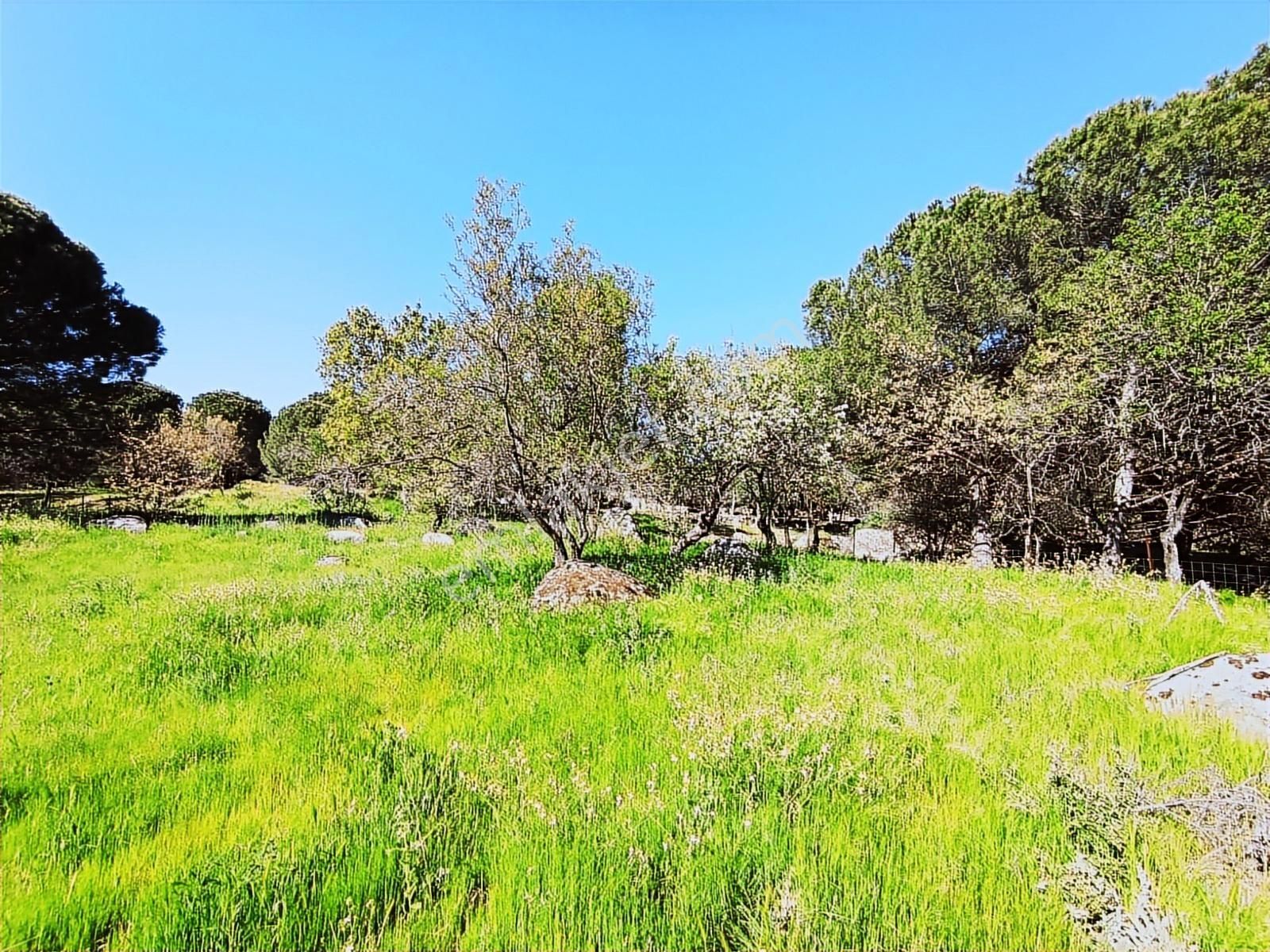 Cb Fark'tan Kozak Yaylası Aşağıbey Satılık 2950 M² Yatırımlık - Görsel 2