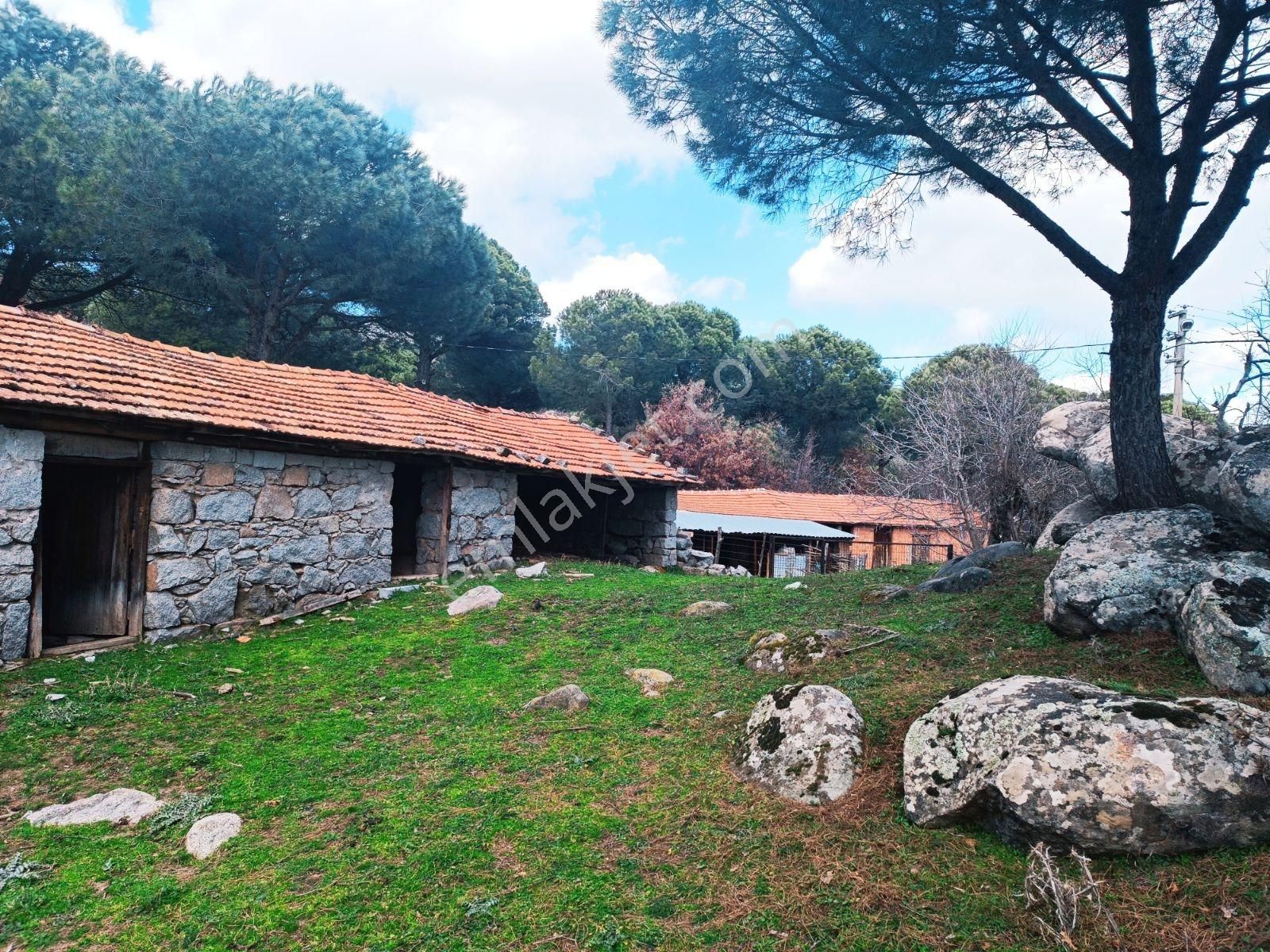 Cb Fark'tan Bergama Kozak Yaylası Satılık 1650 M² İmarlı Arsa - Görsel 15